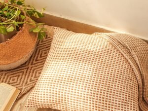 Girnar - Set Of 2 Cushion Covers (Brown) - Large