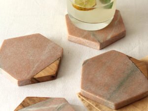 Jacana Coaster