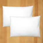 Solid Set Of 2 Pillow Fillers (White)