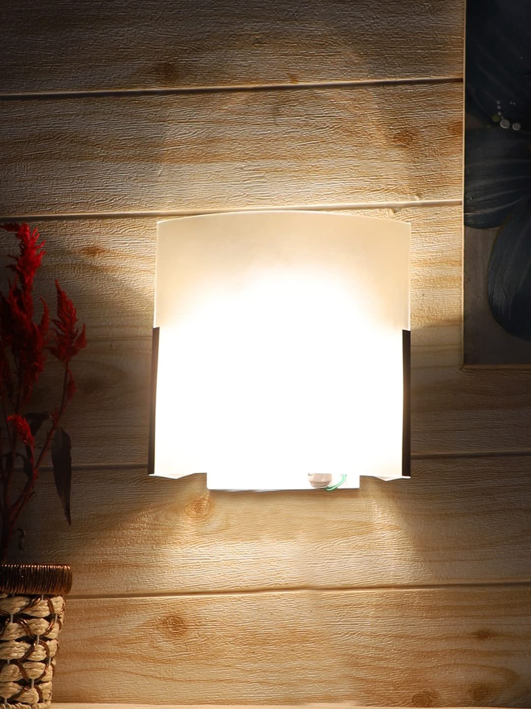 Dual Milky Glass Wall Mounted lamp (T02)