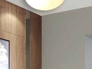 Milky Glass Flush Mounted Lamp