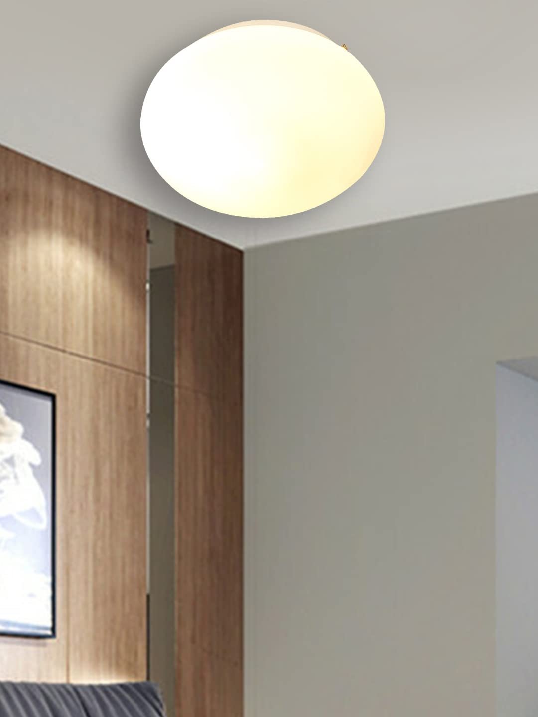Milky Glass Flush Mounted Lamp