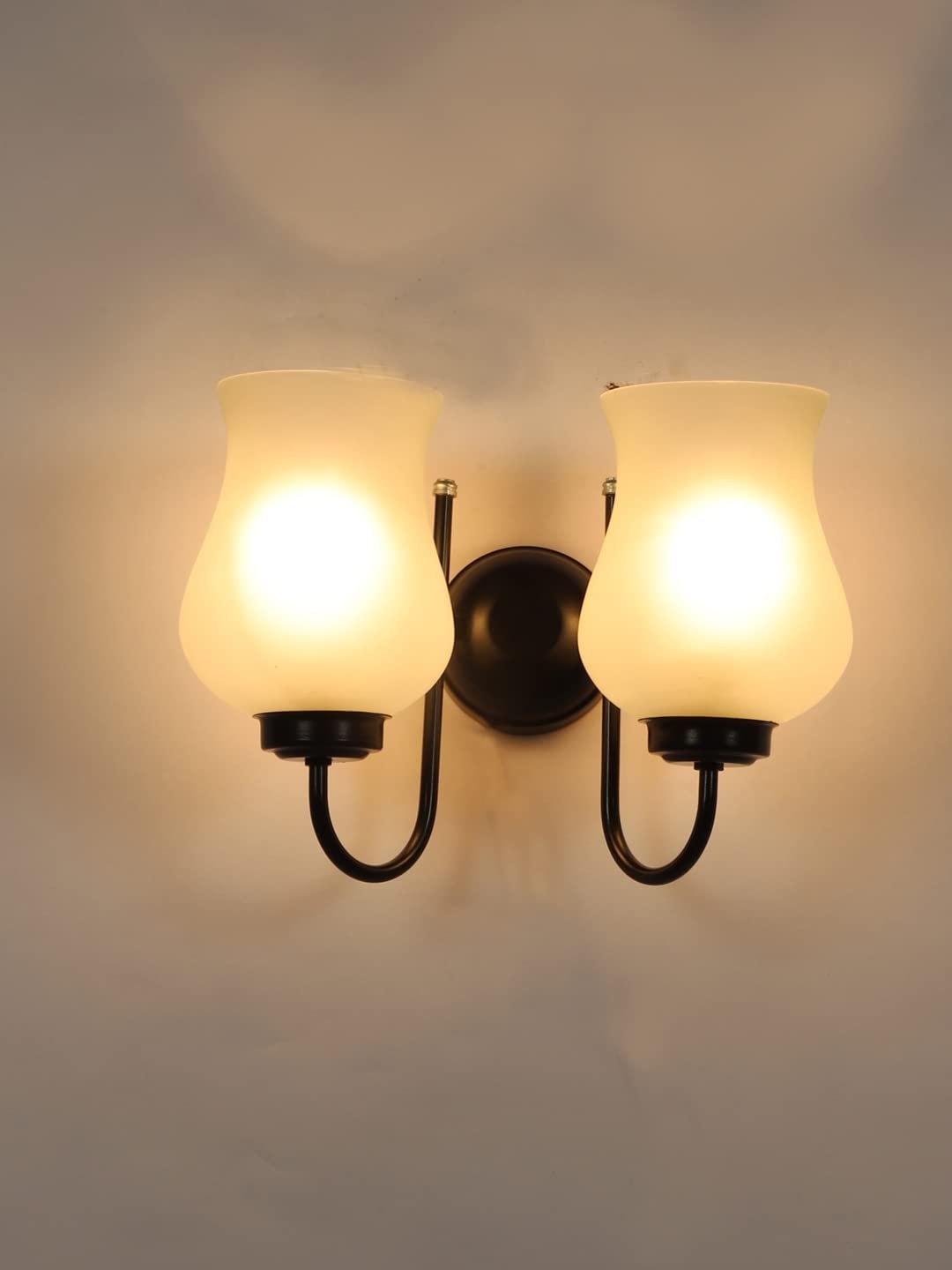 Multicolor Wall Lamp | Elegant Metal Material | Stylish Ambient Light for Home, Office, Living Room, Bedroom, Hallway | Modern Decorative Wall Sconce - Model IT24