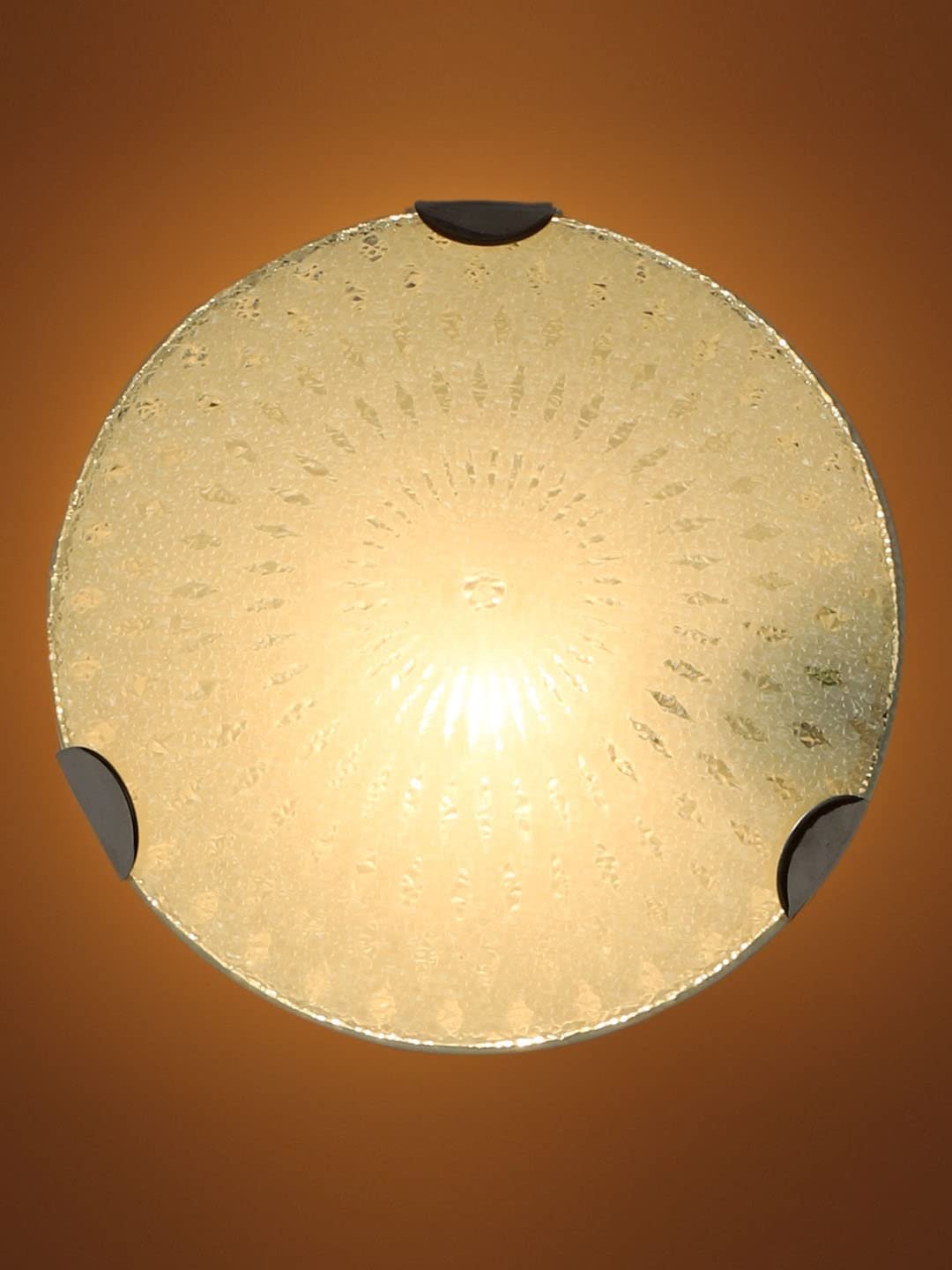 Glass Round Flush Mounted Wall Lamp (T06)